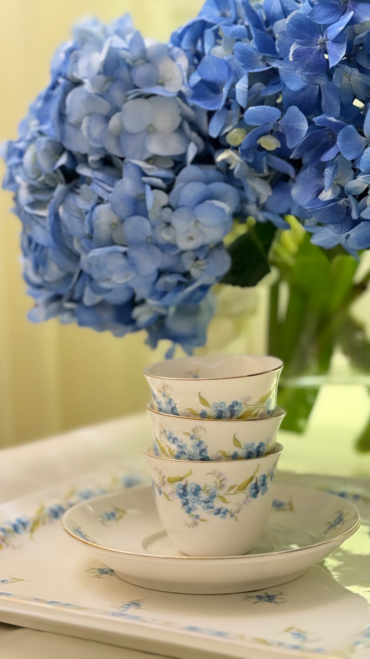 Blue Myosotis Set
