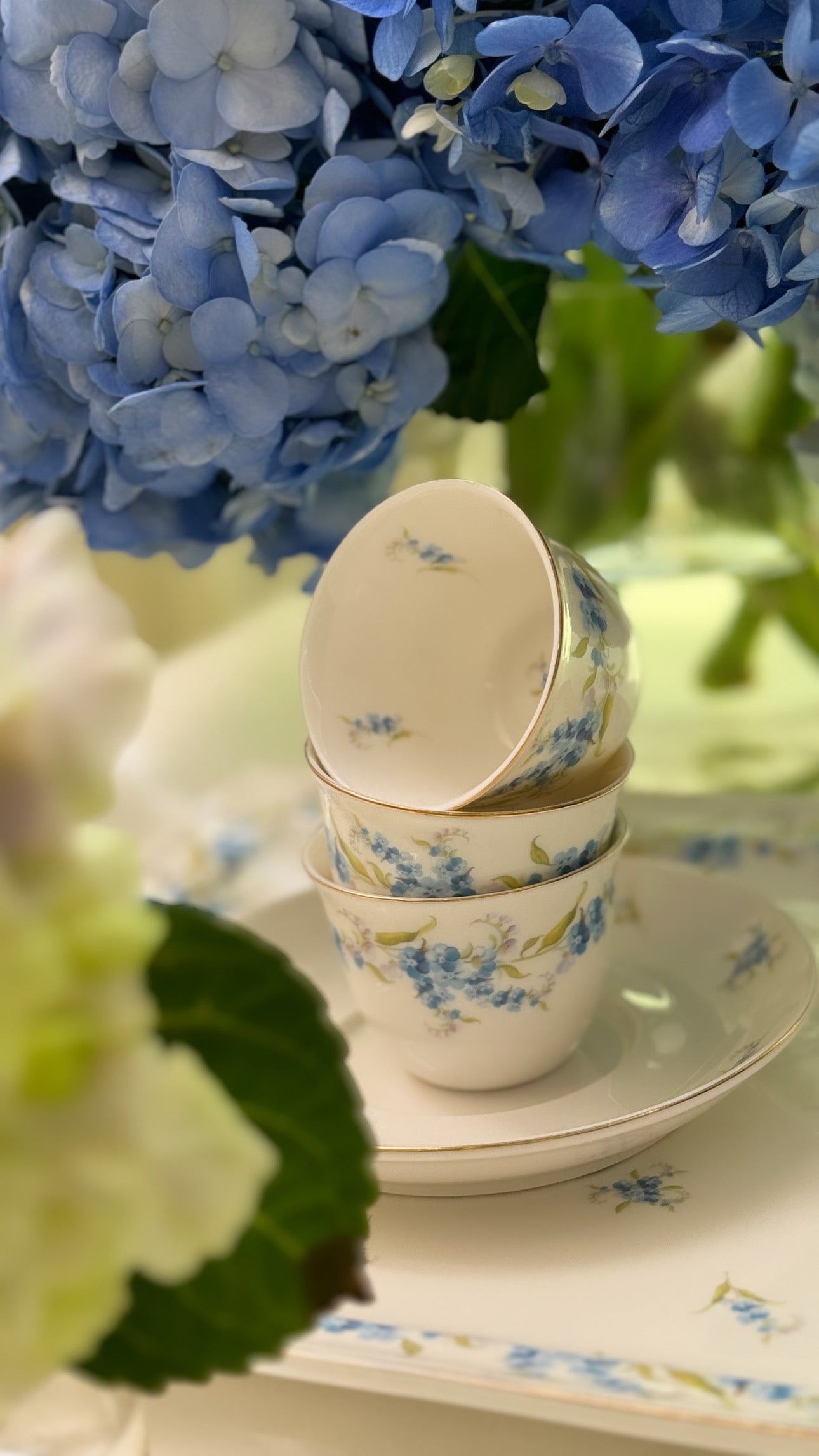 Blue Myosotis Set