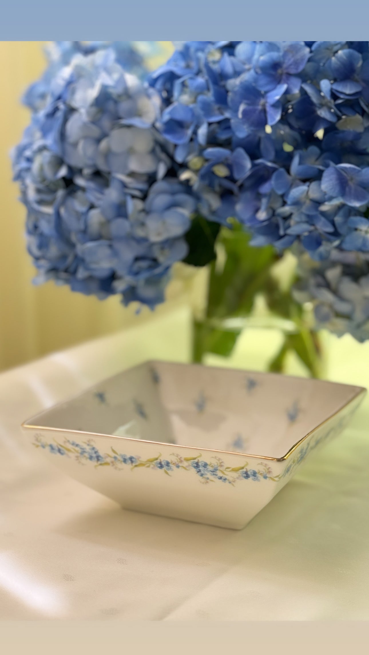 Blue Myosotis Set