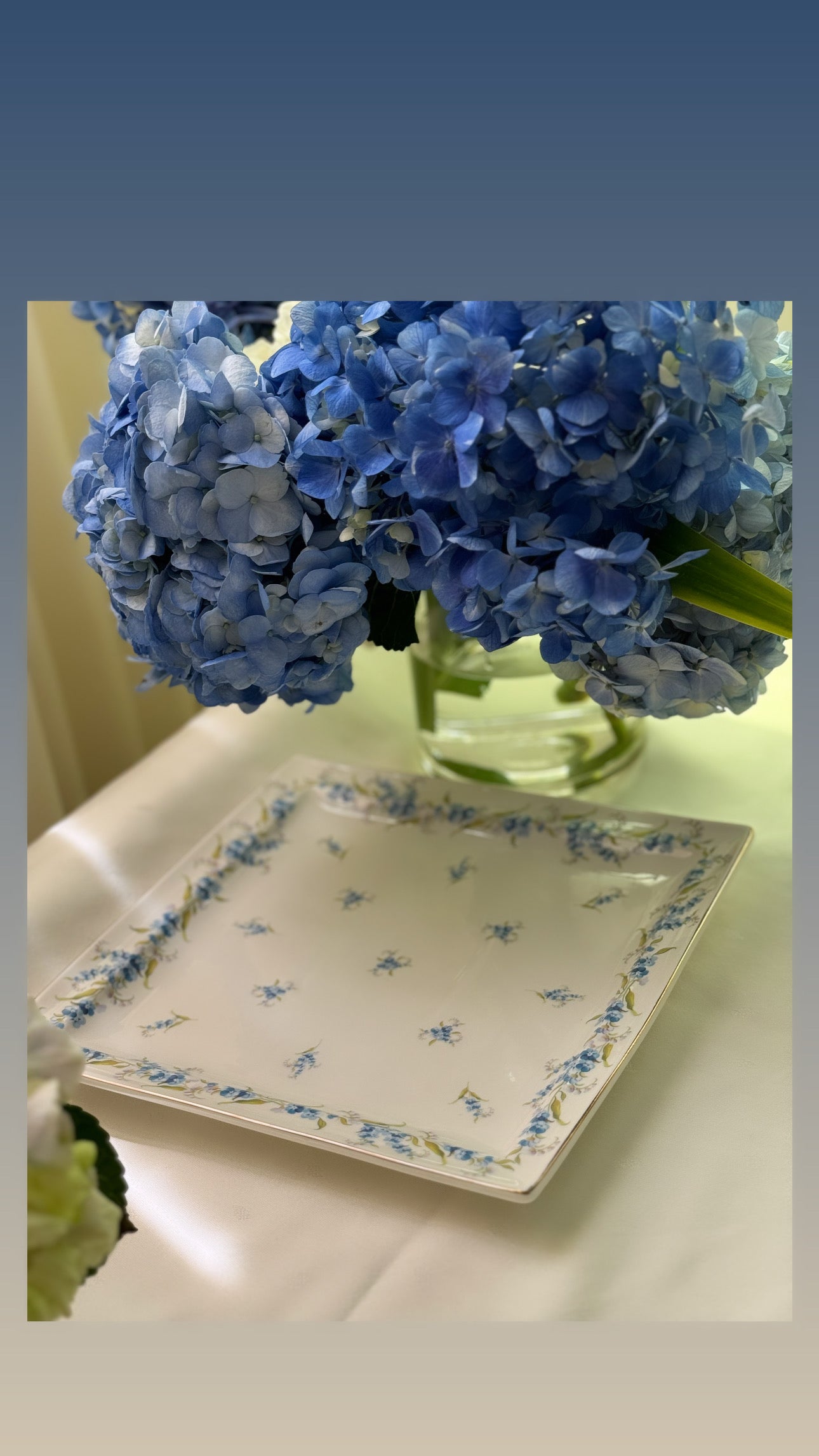 Blue Myosotis Set