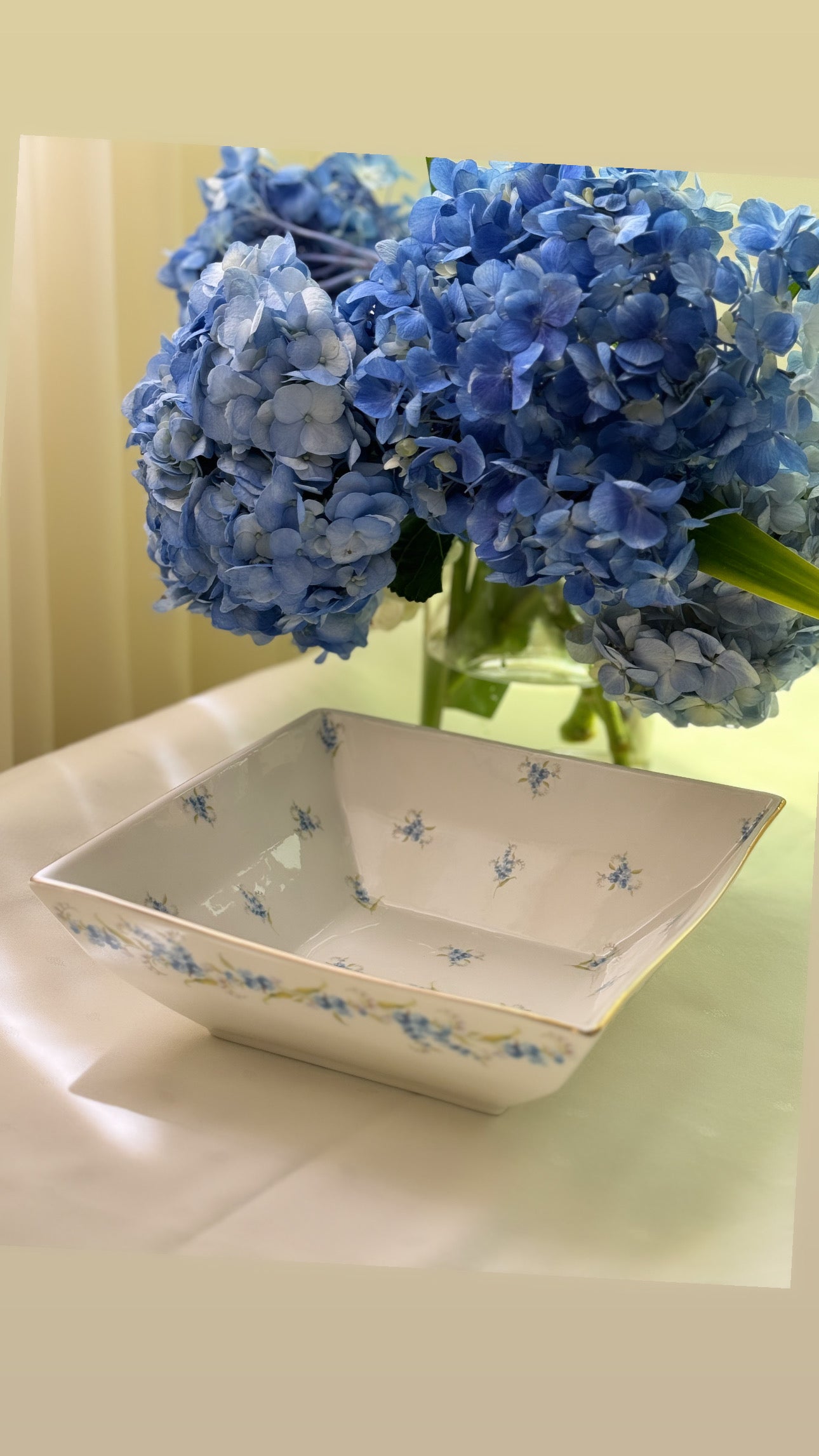 Blue Myosotis Set