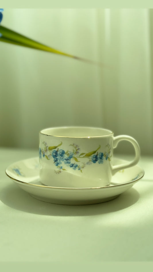 Single Blue Myosotis Cup