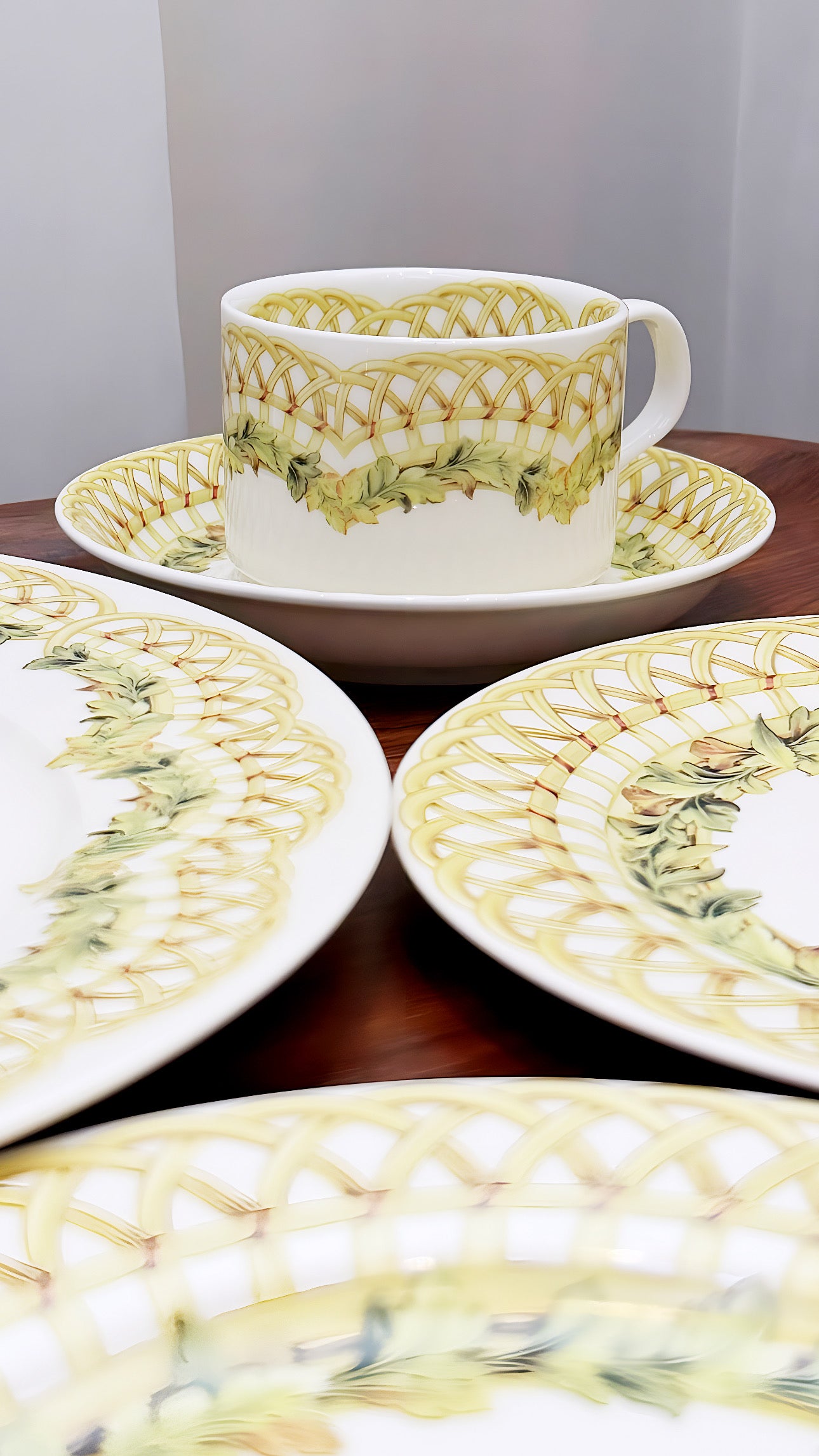 Ataya Rattan Set